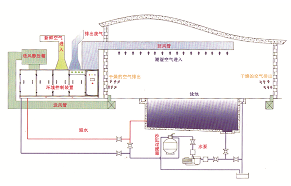 瀚宇水處理：如果做好這些，奧運泳池怎么會“綠”?